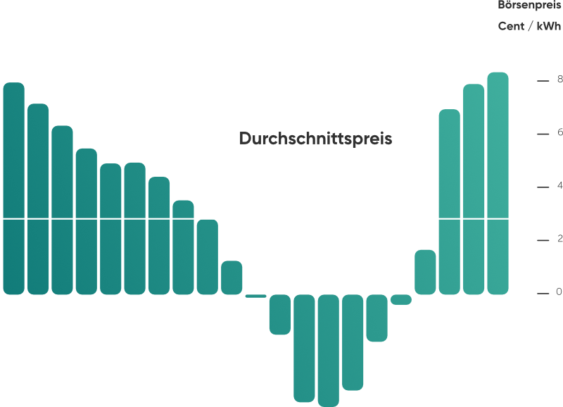 bild-liya-kurs